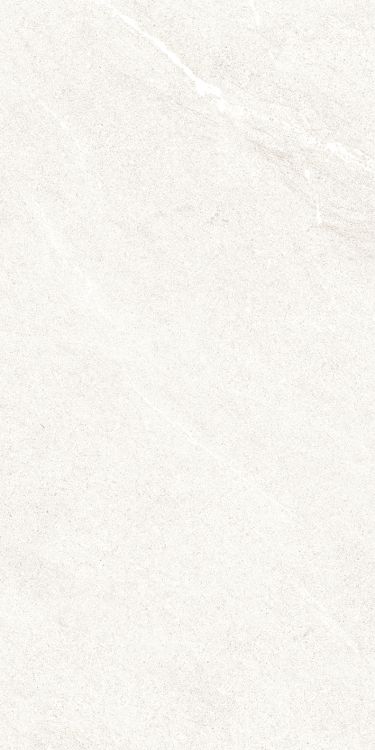 Dhara White Matte 12 x 24